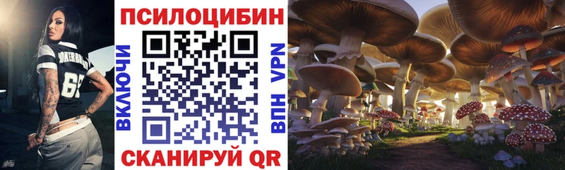 Псилоцибиновые грибы Psilocybe  Сухиничи 